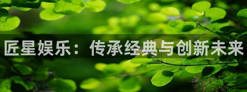 彩名堂官网2：匠星娱乐：传承经典与创新未来