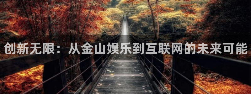 彩名堂怎么样：创新无限：从金山娱乐到互联网的未来可能