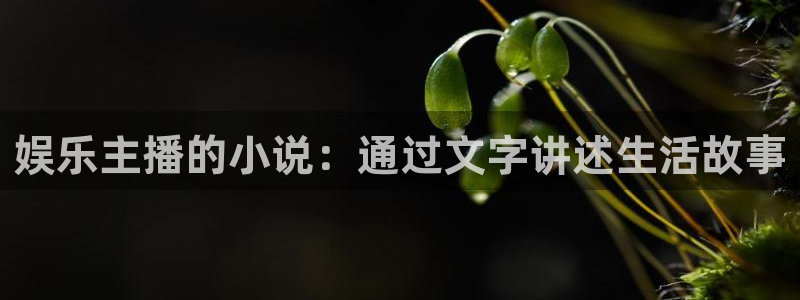 彩名堂使用方法：娱乐主播的小说：通过文字讲述生活故事