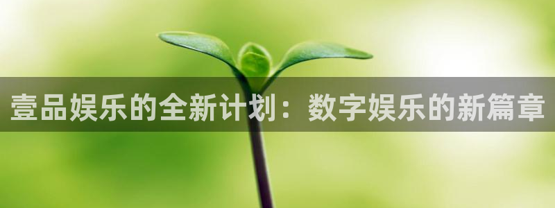 彩名堂人工计划客户端：壹品娱乐的全新计划：数字娱乐的新篇章