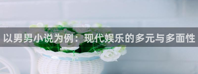 彩名堂官方平台：以男男小说为例：现代娱乐的多元与多面性