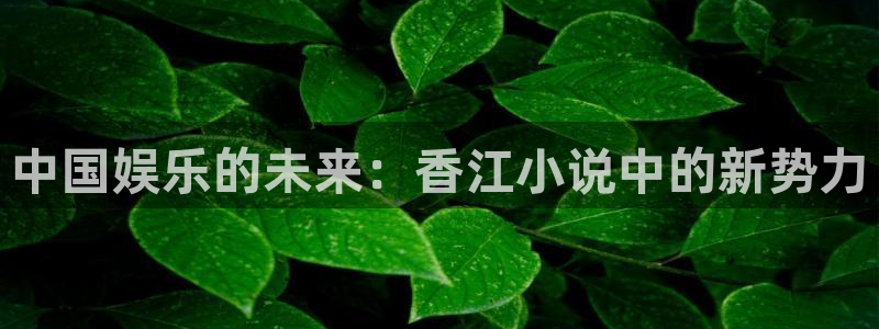 彩名堂6.0计划：中国娱乐的未来：香江小说中的新势力