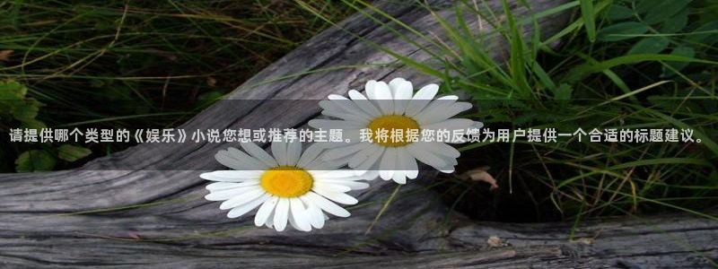 彩名堂计划旧版本：请提供哪个类型的《娱乐》小说您想或推荐的主题。我将根据您的反馈为用户提供一个合适的标题建议。