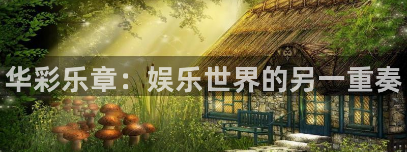 彩名堂：华彩乐章：娱乐世界的另一重奏