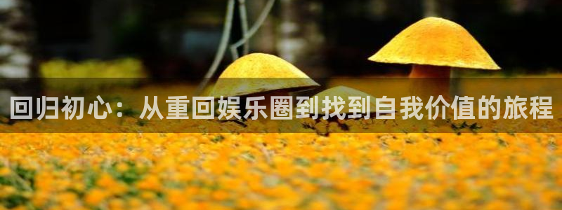 彩名堂6.0计划：回归初心：从重回娱乐圈到找到自我价值的旅程