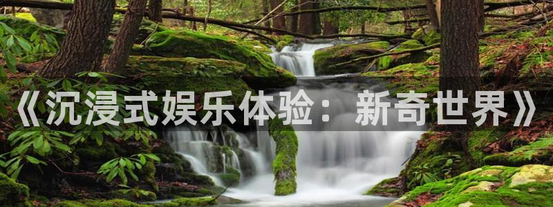 彩名堂官网计划：《沉浸式娱乐体验：新奇世界》
