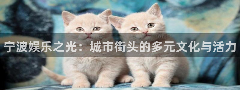 彩名堂计划旧版本：宁波娱乐之光：城市街头的多元文化与活力