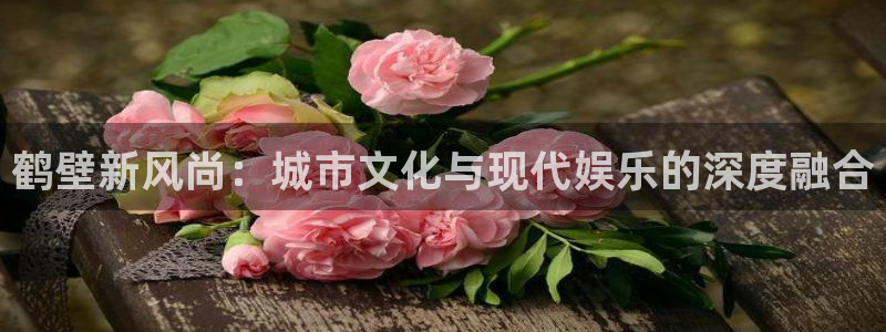 彩名堂使用方法：鹤壁新风尚：城市文化与现代娱乐的深度融合