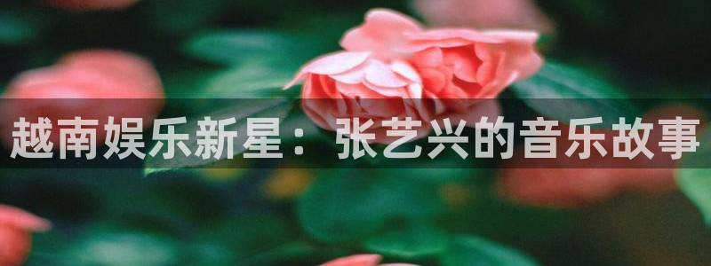 彩名堂人工计划客户端：越南娱乐新星：张艺兴的音乐故事