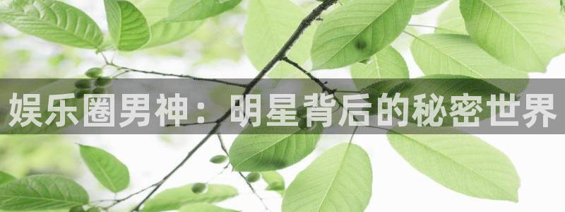 彩名堂免费计划官网5.0版下载链接：娱乐圈男神：明星背后的秘密世界
